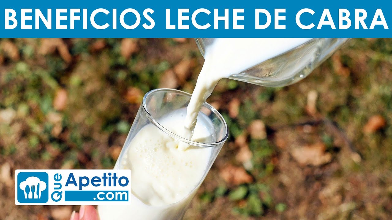 8 Propiedades y Beneficios de la Leche de Cabra | QueApetito