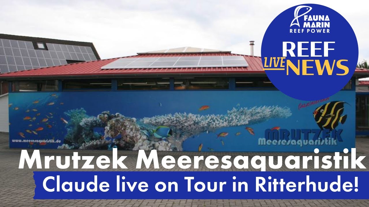 Reef News Live mit Claude bei Mrutzek!
