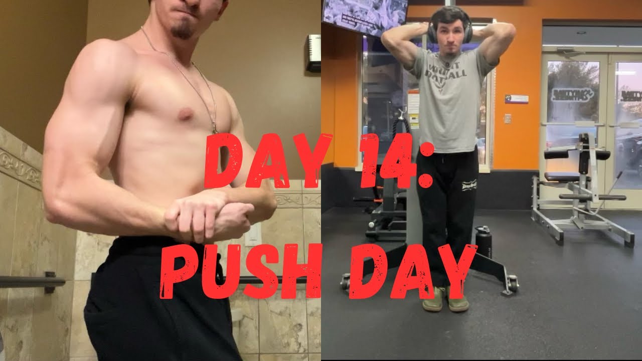 DAY 14: PUSH DAY