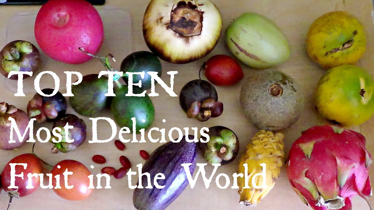Top 10 Most Delicious Fruits - Weird Fruit Explorer Ep. 102