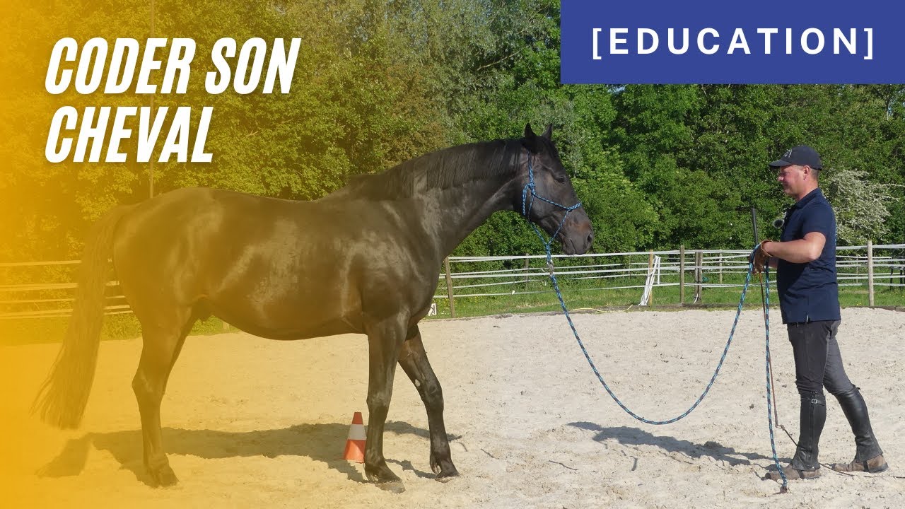 [ Education ] - Comment coder son cheval ?