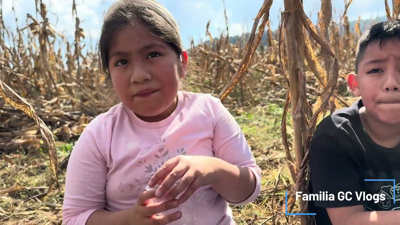 Primer día en el Rancho tenemos mucho trabajo 🤠comenzó la cosecha de maíz 🌽 