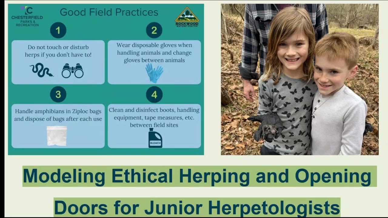 Rockwood Nature Center: Modeling Ethical Herping and Ectotherm Care
