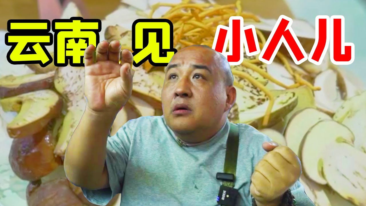 来云南吃菌子看到小人怎么办？服务员说：没事，我们离医院近！