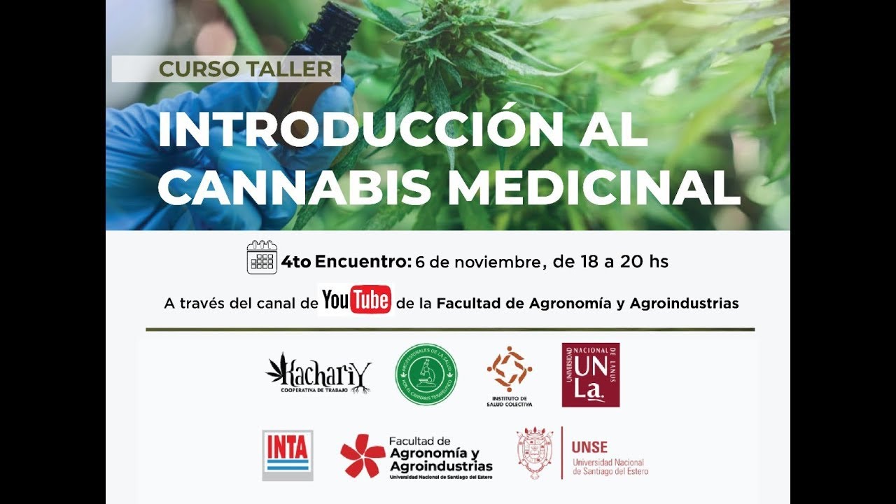 Curso Taller INTRODUCCIÓN AL CANNABIS MEDICINAL - 4º Encuentro