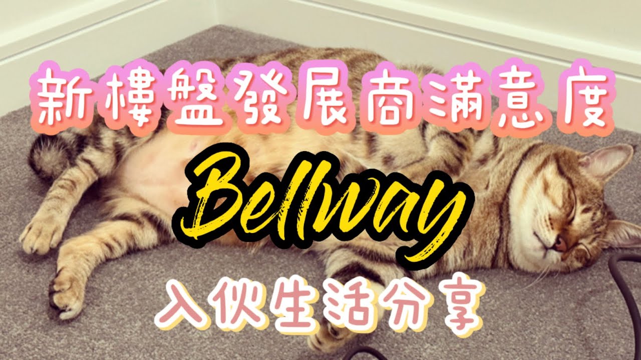 新樓盤發展商滿意度 點解揀喱個地方？入伙後生活分享