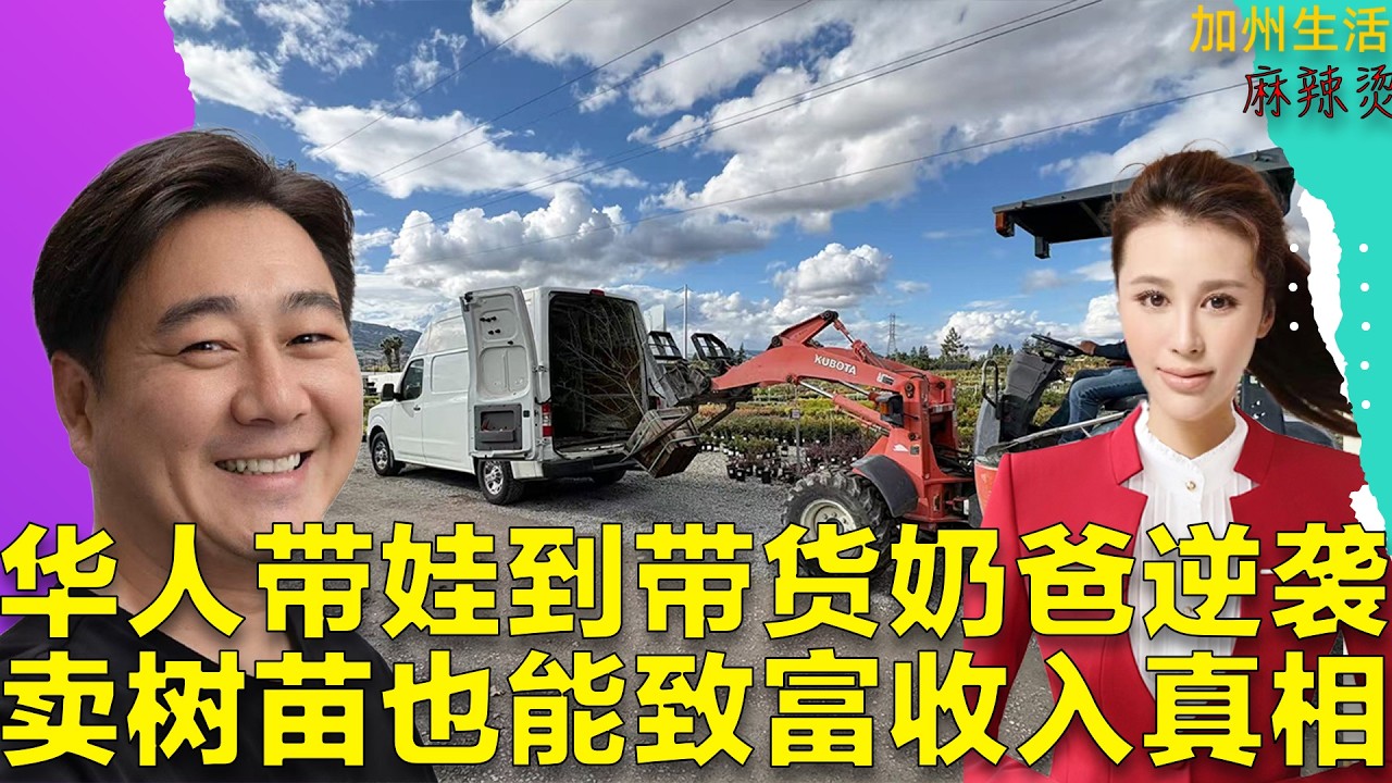华人带娃到带货奶爸逆袭，卖树苗也能致富收入真相 #德远资讯 #创业 #德远  #北加 #电商 #种树 #后院 #花卉 #养花 #奶爸 #北加创业