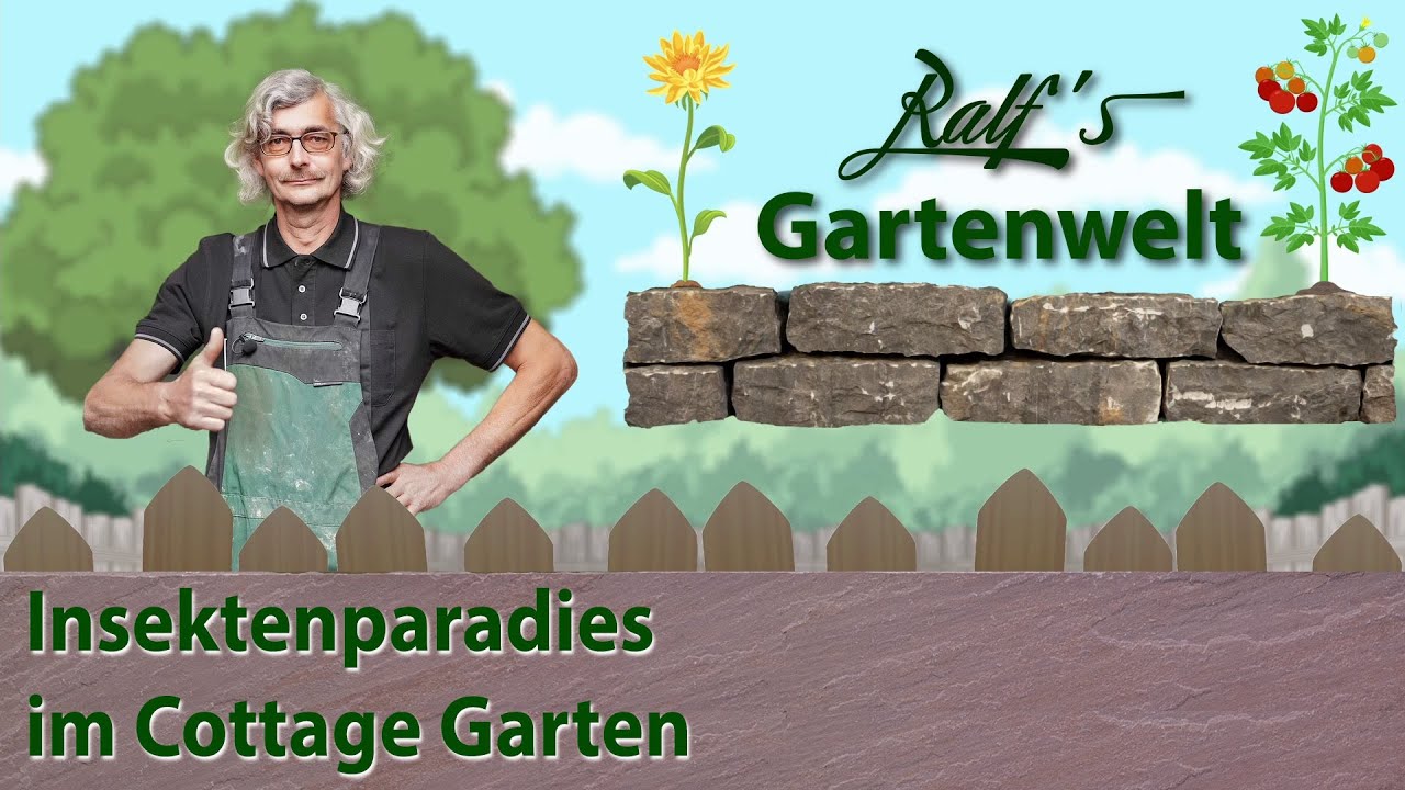 Das Insektenparadies im Cottage Garten I Ralf´s Gartenwelt