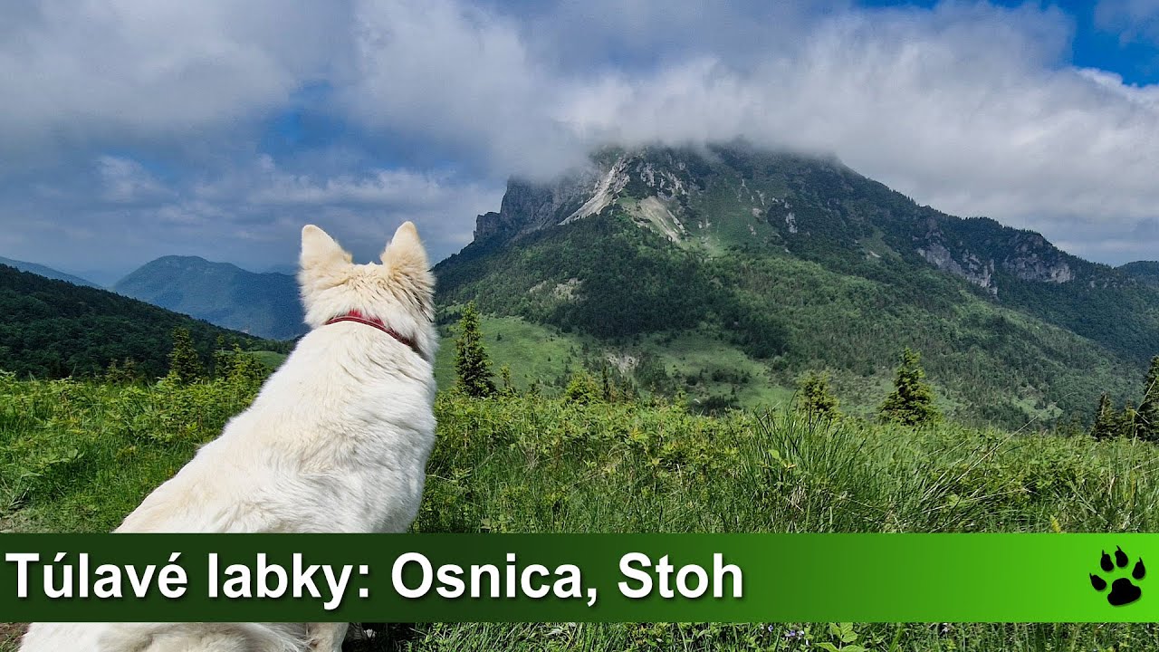 Túlavé labky: Osnica a Stoh z Lučivnej (Malá Fatra)