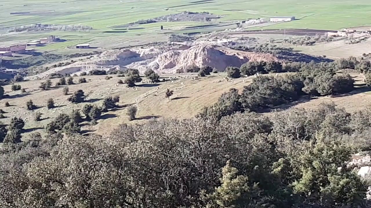من اعالي جبال تيرني  ....تلمسان