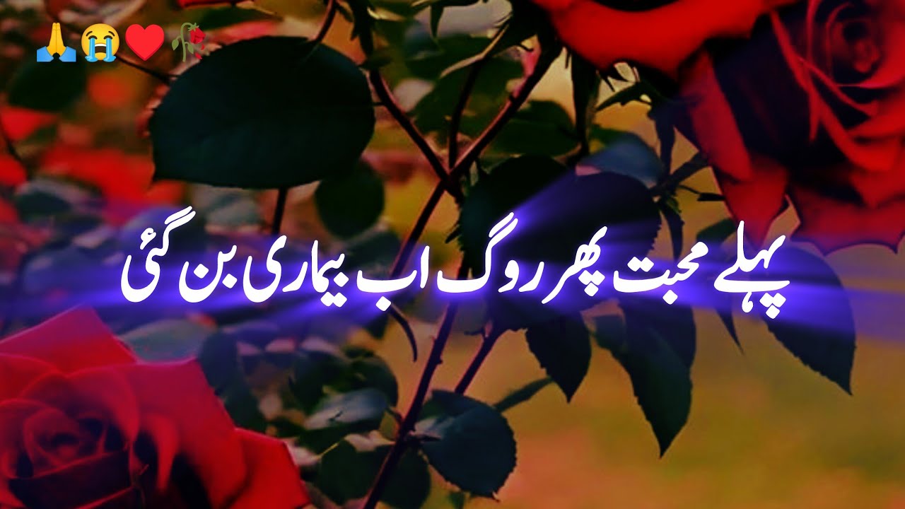 Pehley muhabat phir rog ab Bimari ban gai