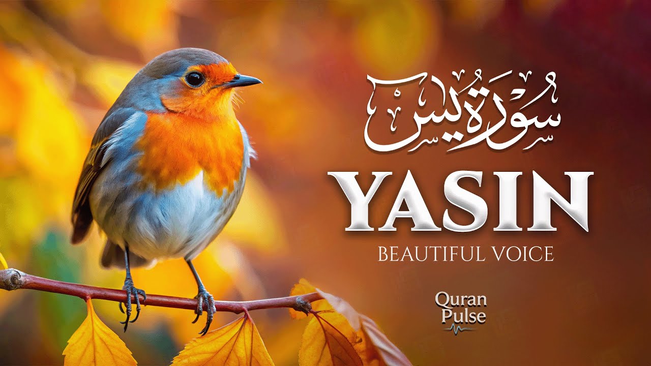 Surah Yaseen (سورة يس) | Find Stillness & Peace Through This Qur’anic Recitation