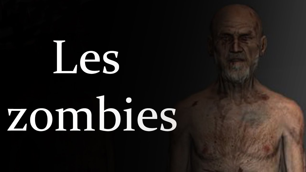 DayZ TUTO #3 - Les zombies