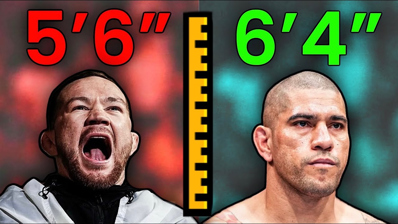 Лучшие бойцы UFC по росту.