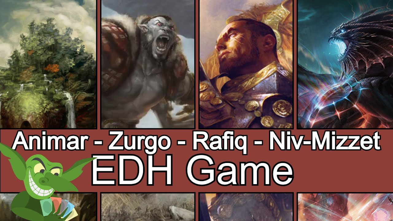 Animar vs Zurgo vs Rafiq vs Niv-Mizzet, Reborn EDH / CDMR game play for Magic: The Gathering