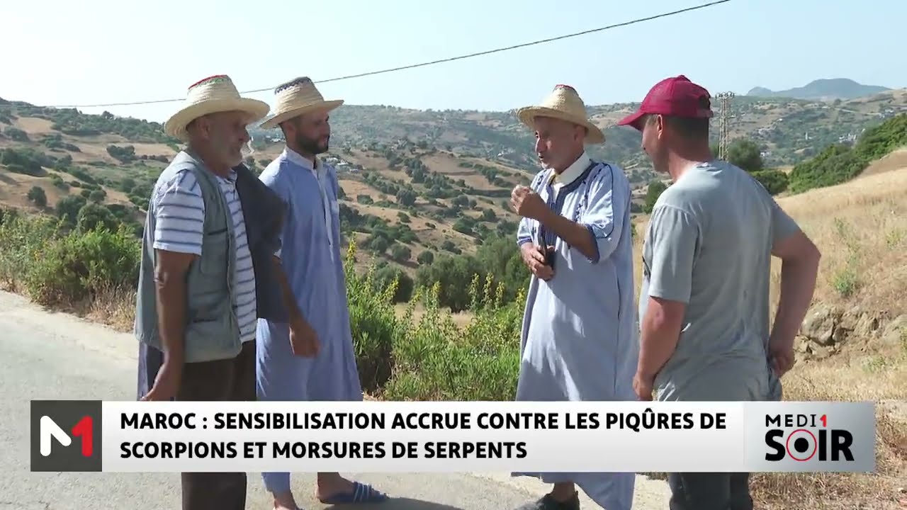 Maroc : Sensibilisation accrue contre les piqûres de scorpions et morsures de serpents