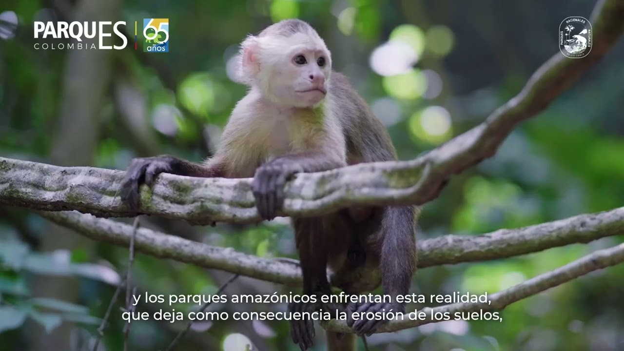 Turismo no regulado en las áreas protegidas de Colombia