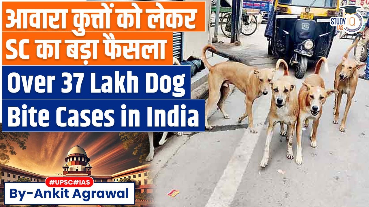Supreme Court’s Stray Dog order stirs outrage | Ankit Kumar Study IQ