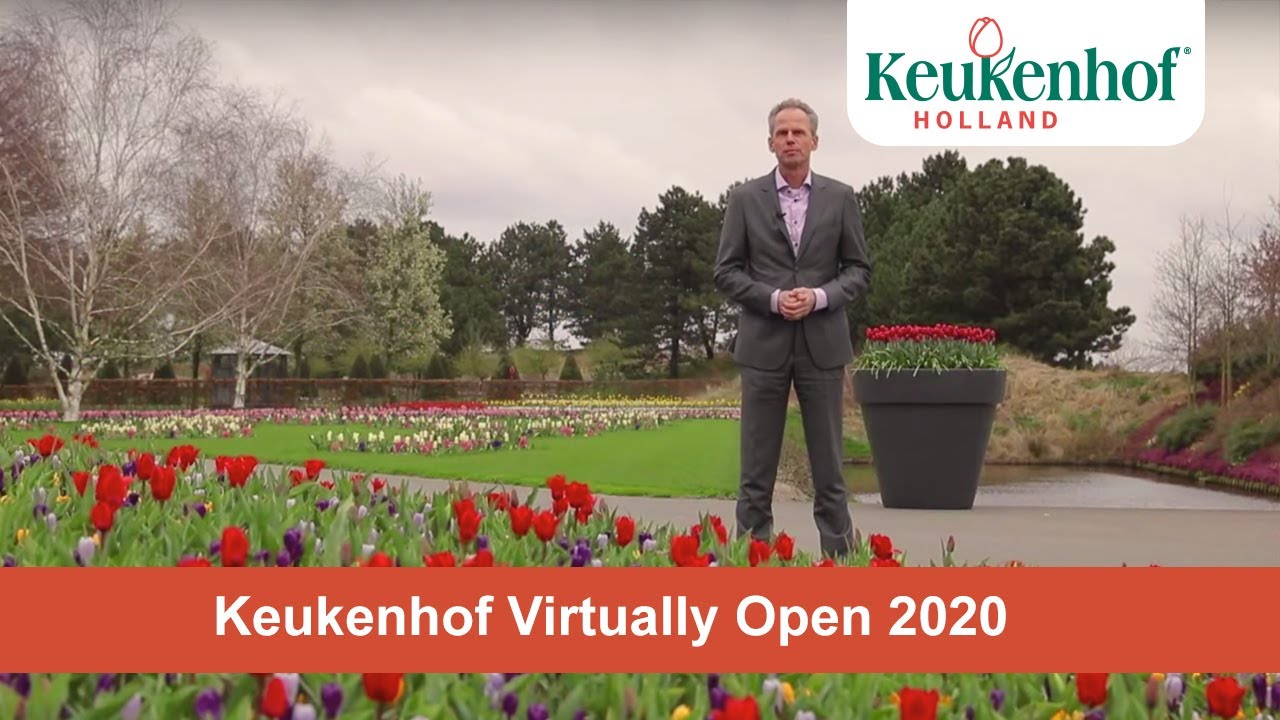 We will bring Keukenhof to you! - Keukenhof Virtually Open