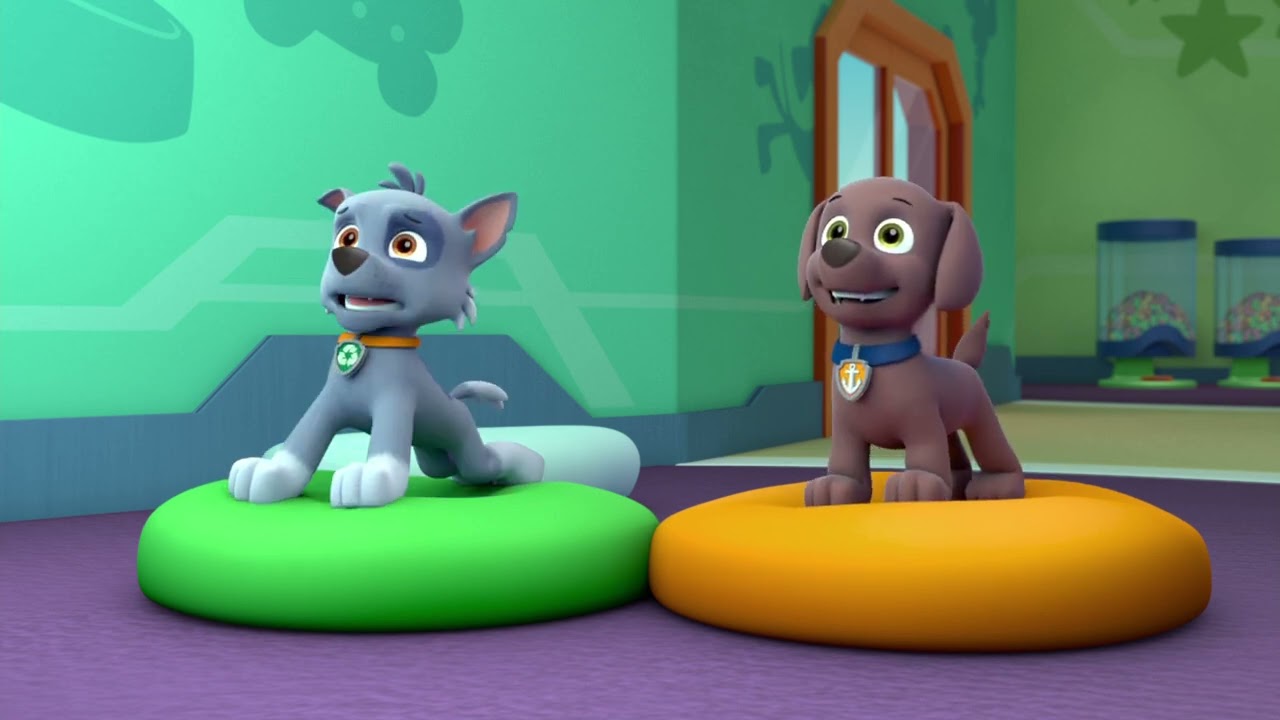 Who want to go on a underwater rescue? - Paw patrol