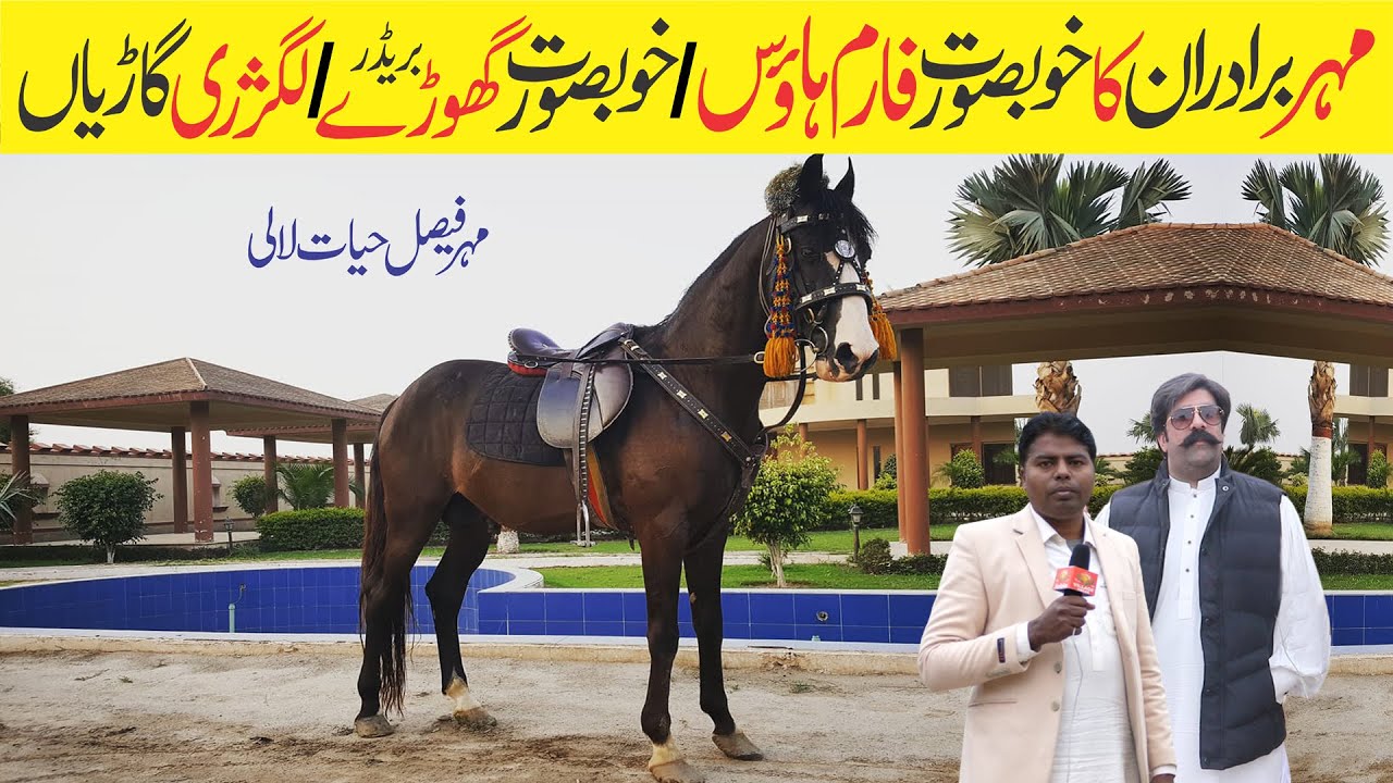 Modern Farmhouse | Faisal Hayat Lali | Desi horse farming | tent pegging | Beautiful Culture
