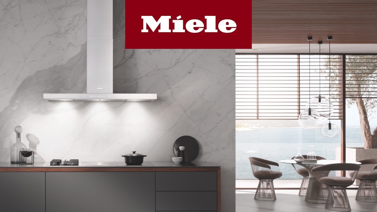 Der Miele Longlife AirClean Filter | Miele