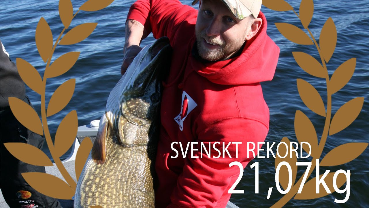 Svenskt rekord på gädda - 21,07 kg