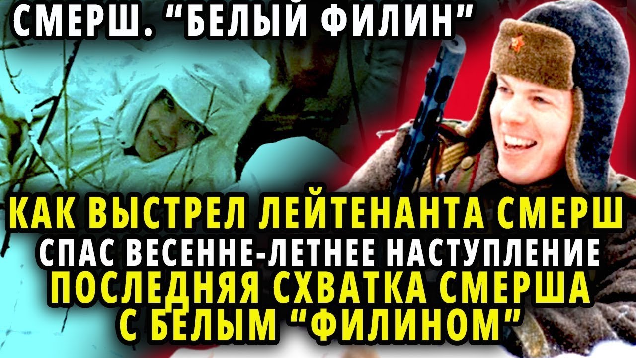 КАК МЕТКИЙ ВЫСТРЕЛ ЛЕЙТЕННАНТА СМЕРША СПАС ВЕСЕННЕ ЛЕТНЕЕ НАСТУПЛЕНИЕ КРАСНОЙ АРМИИ   ОПЕРАЦИЯ БЕЛЫЙ