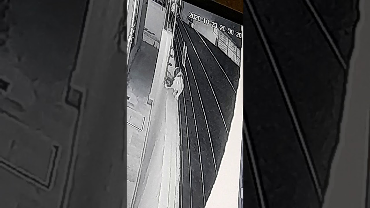 Cat touch Electric Fencing for boundary wall Security