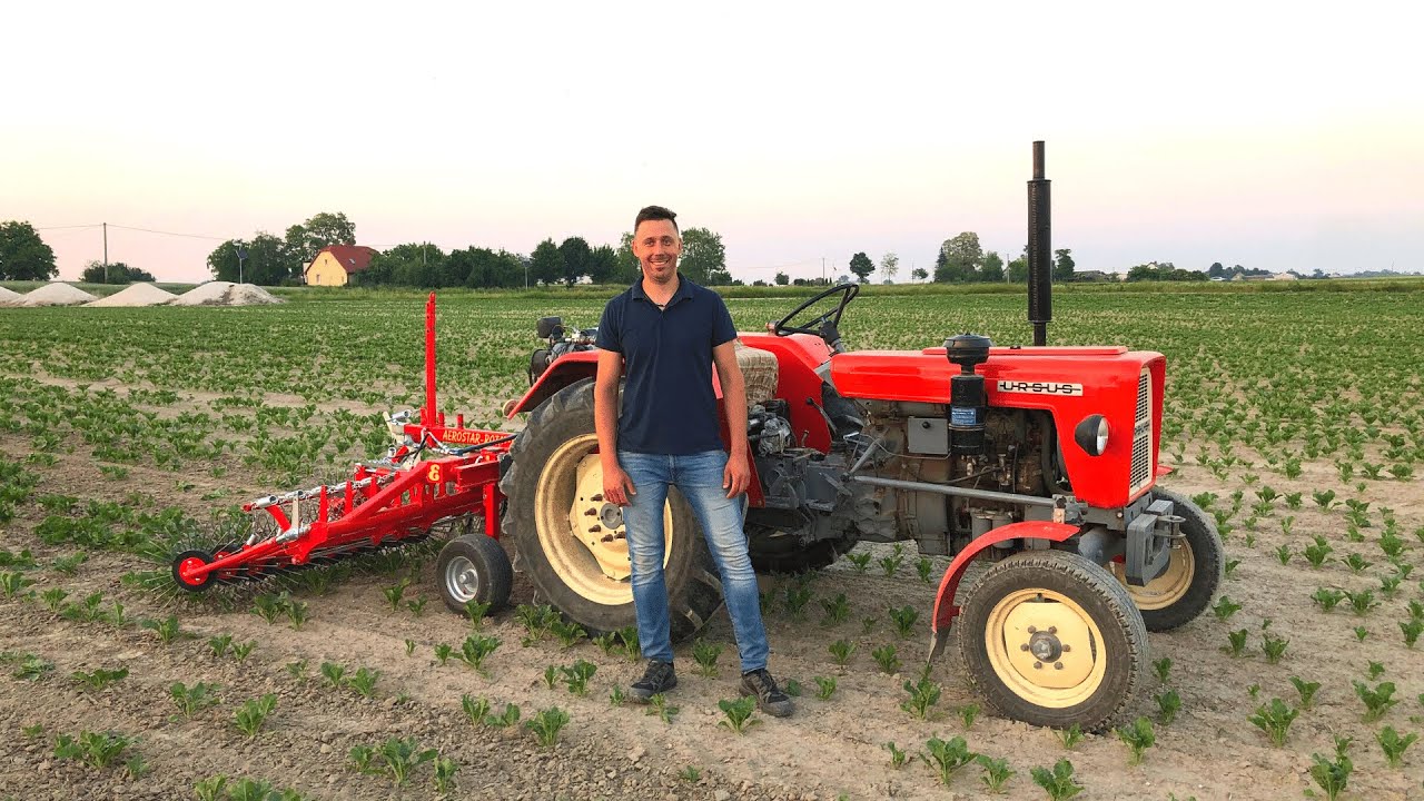 URSUS C 330 & chwastownik obrotowy w uprawie buraka cukrowego - czerwiec 2021