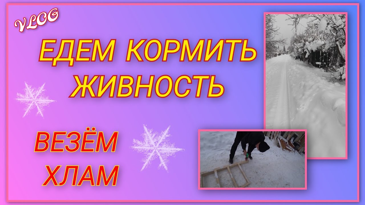 🍒 VLOG: Едем на дачу кормить живность/ Везём с собой ещё немного хлама