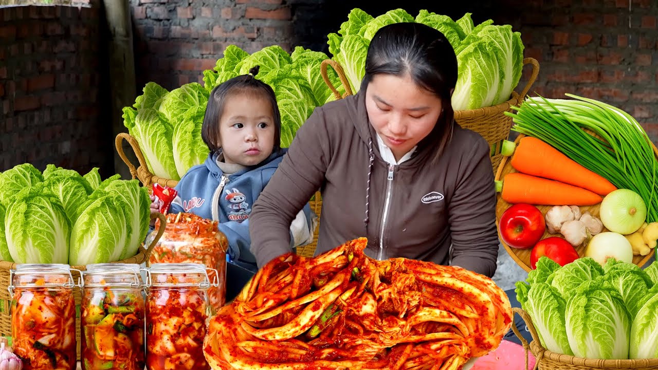 Cara Panen Kubis & Membuat Kimchi Bersama Anak – Dijual ke Pasar