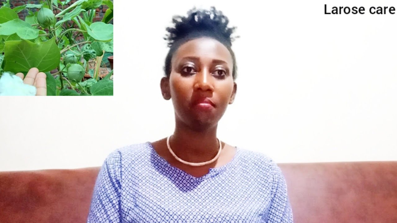 umuti wakugira umuyobozi, umuti uguha abaguzi mubyo ucuruza(Ipamba ikora ibitangaza byinshi)