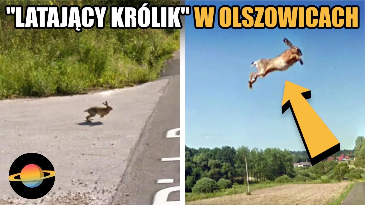 10 najdziwniejszych rzeczy, jakie uchwyciło Google Street View w Polsce
