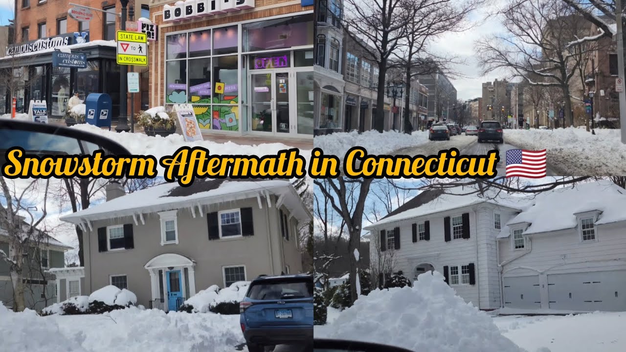 Driving through Connecticut Neighborhoods after Blizzard Calvin. 