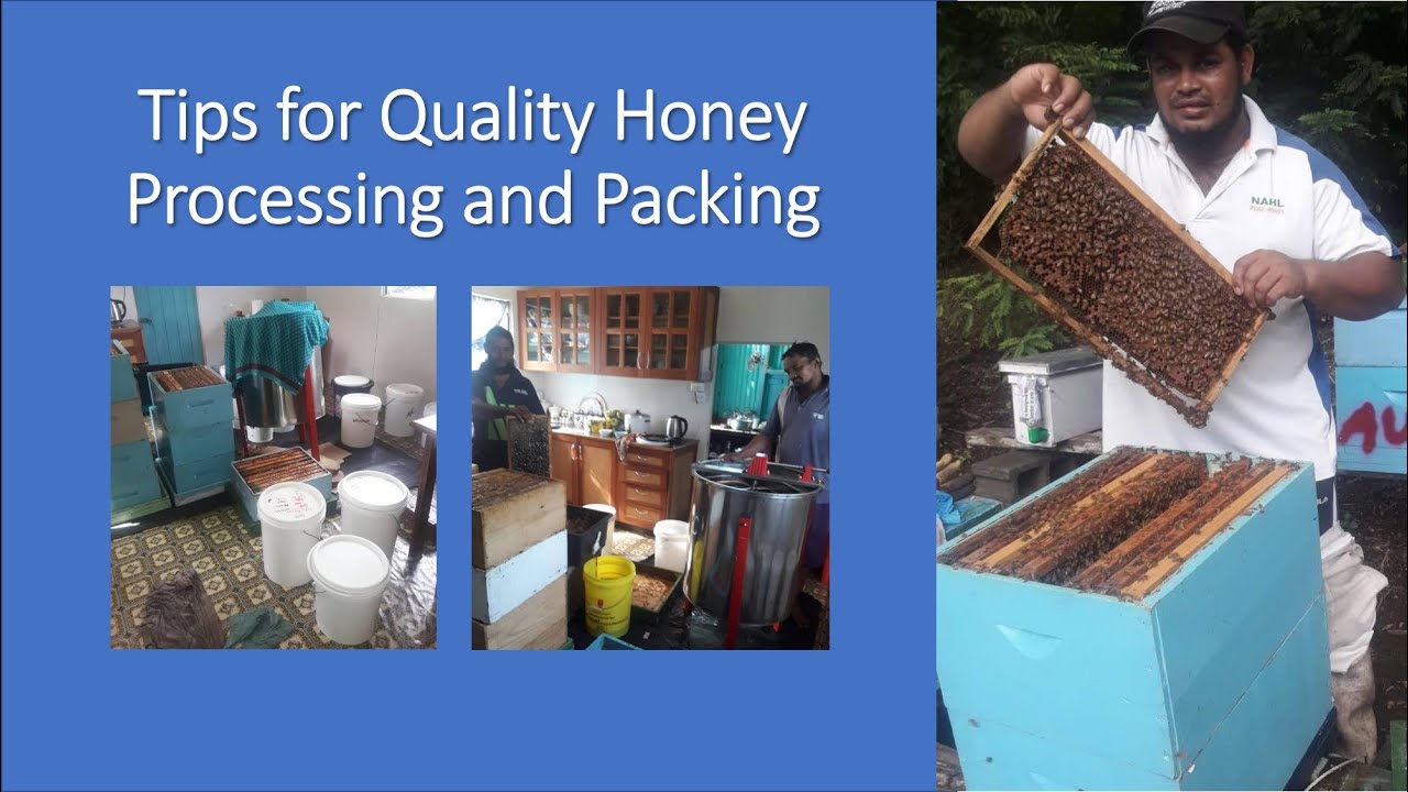 How to produce and pack quality honey - Tips