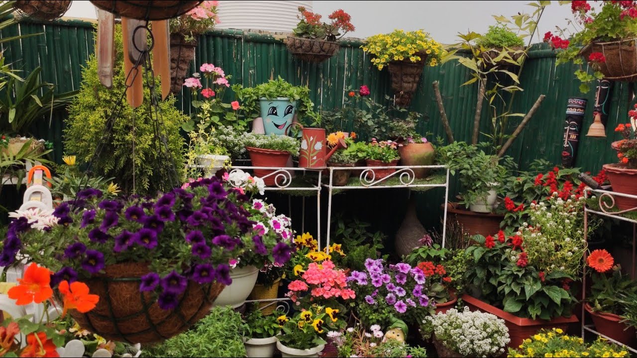 Garden overview 21st March 2020 ll