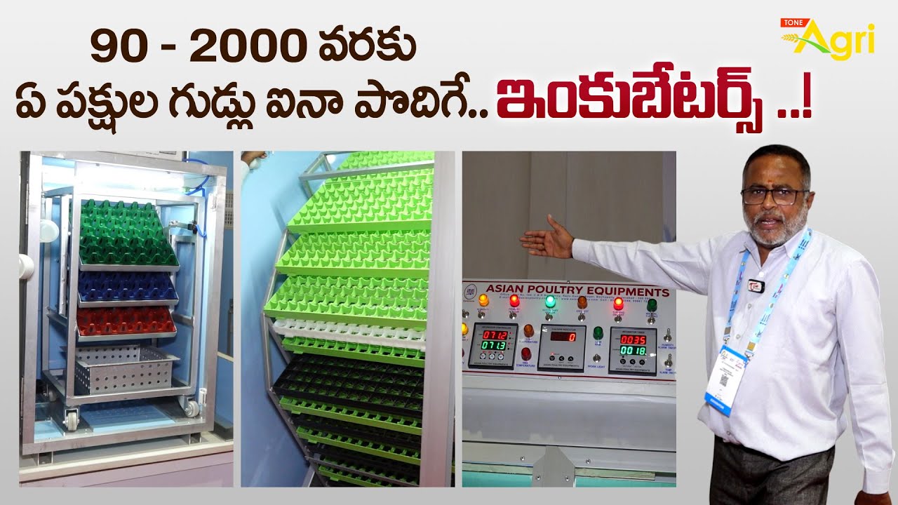2000 Eggs Capacity Hatcher | ఏ పక్షుల గుడ్లు ఐనా పొదిగే ఇంకుబేటర్స్..! Poultry Expo 2025 | Tone Agri