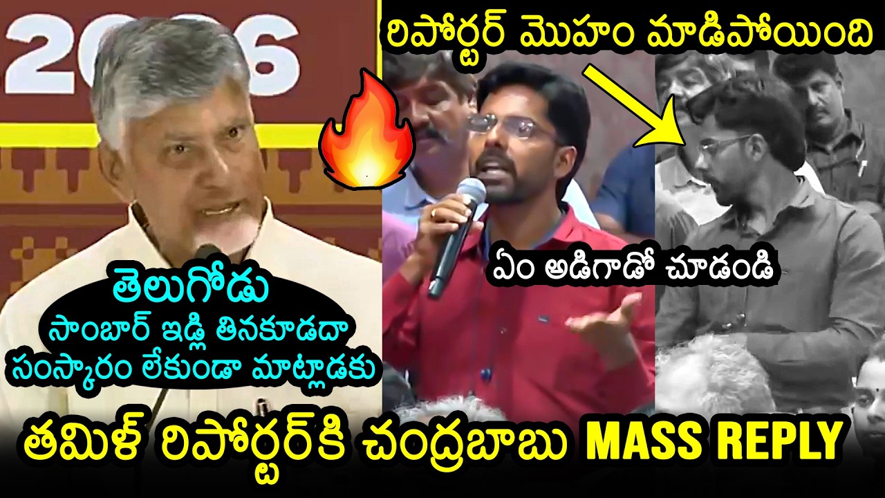 Chandrababu vs Tamil Reporter at Tamil Nadu Election Campaign | News Buzz