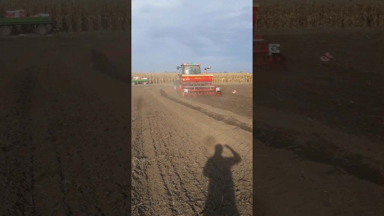Case maxxum 123 & VADERSTAD carrier drill 300