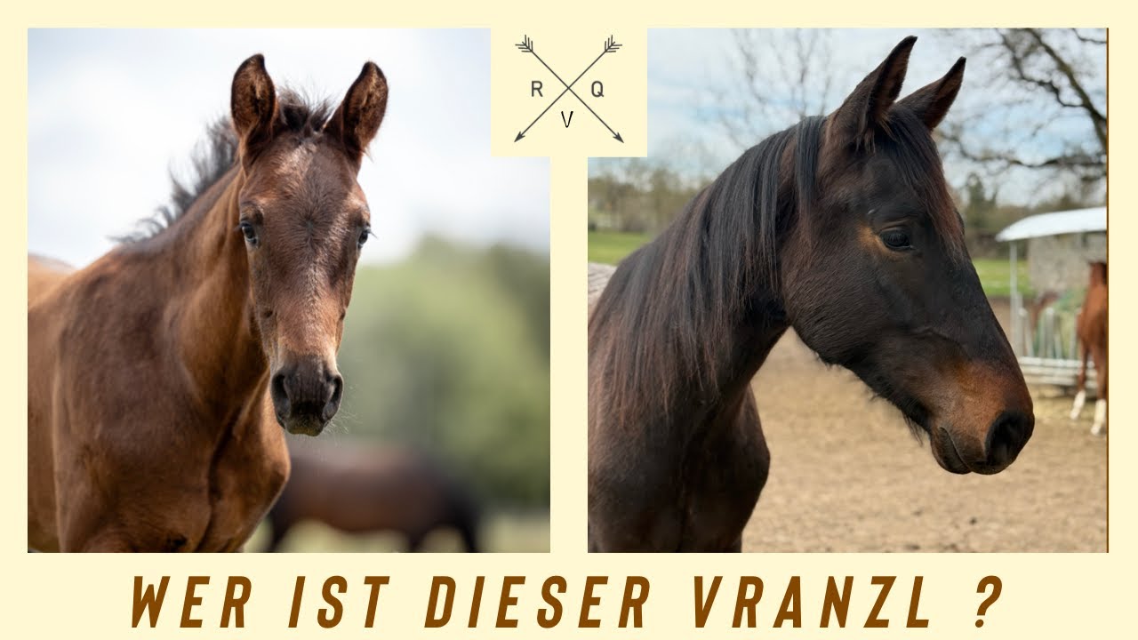 Wer ist dieser Vranzl?