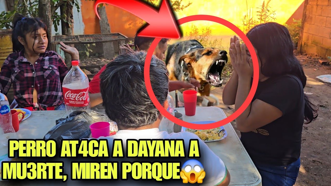 Dios Mio En Pleno Desayuno Un Perro AT4CA A Dayana A Fuertes M0RD1D4S, Casi Pierde La V1DA😱