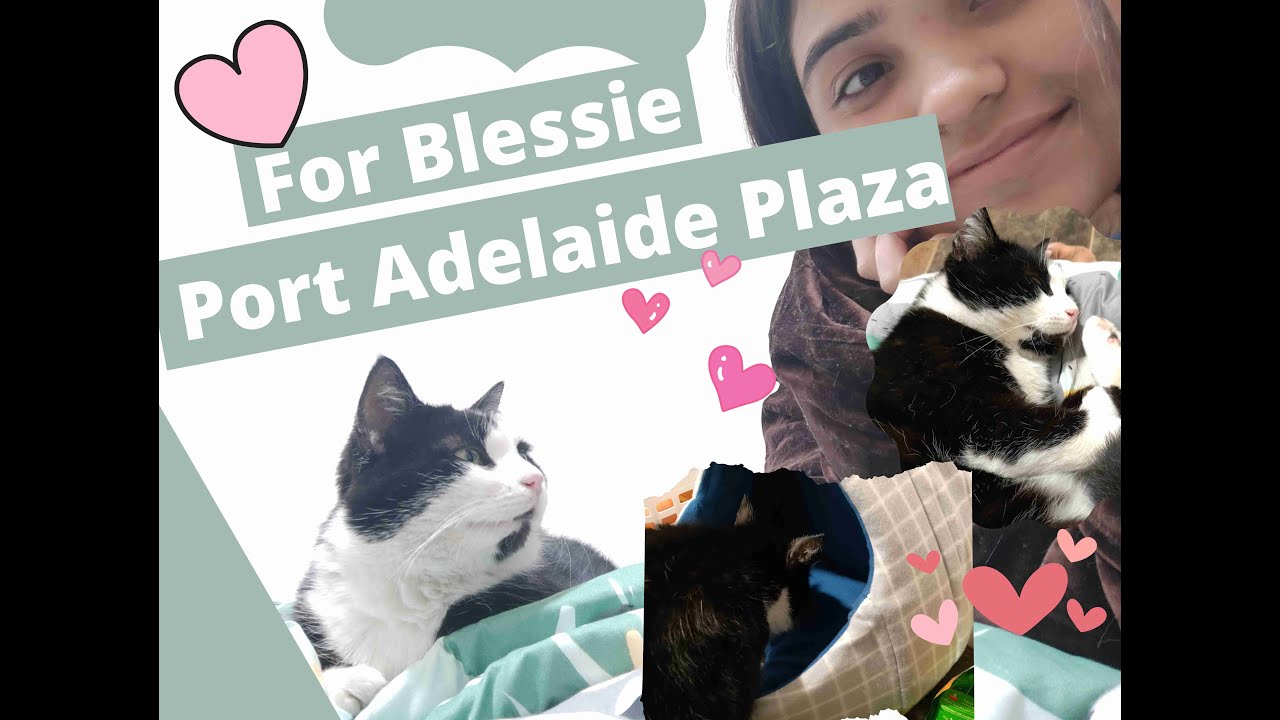Shopping in Port Adelaide Plaza for My Friend Blessie. Port Adelaide, South Australia