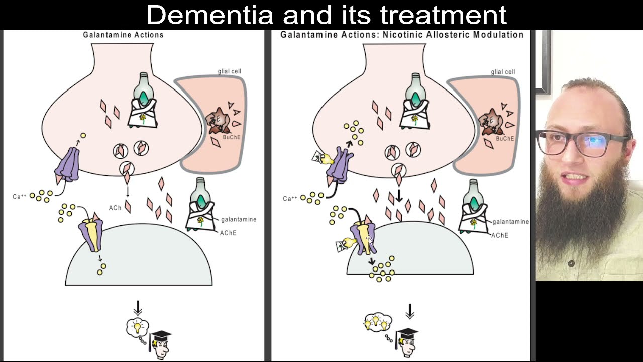 13 17 - Galantamine : AChE inhibition with positive allosteric modulation of nicotinic receptors