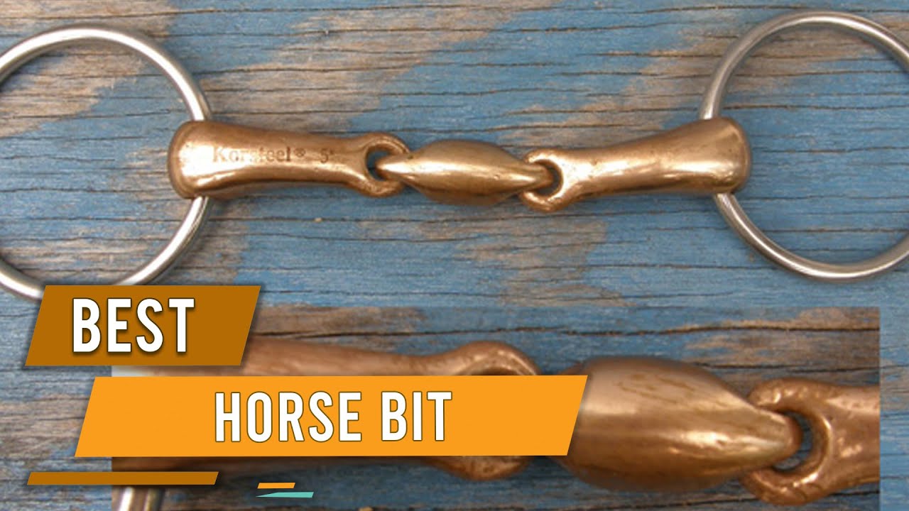 Top 5 Best Horse Bits for More Control/Sensitive Mouth/Barrel Racing & Trail Riding [Review 2026]