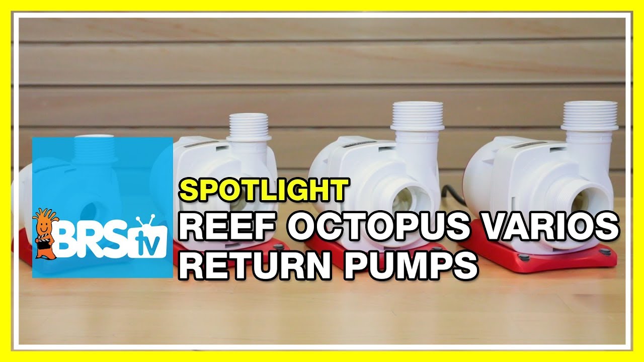 The Reef Octopus VarioS DC powered pump | BRStv Spotlight