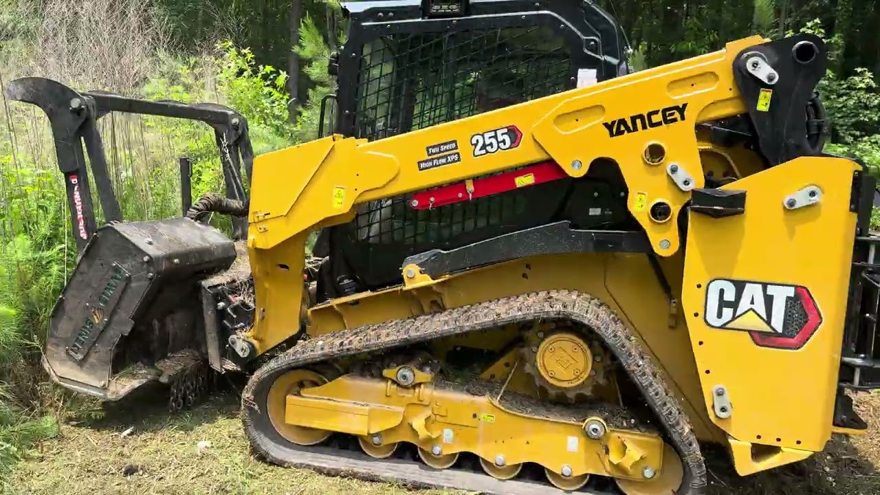 Cat 255 xps with Cimaf 150d forestry mulching overgrown backyard area