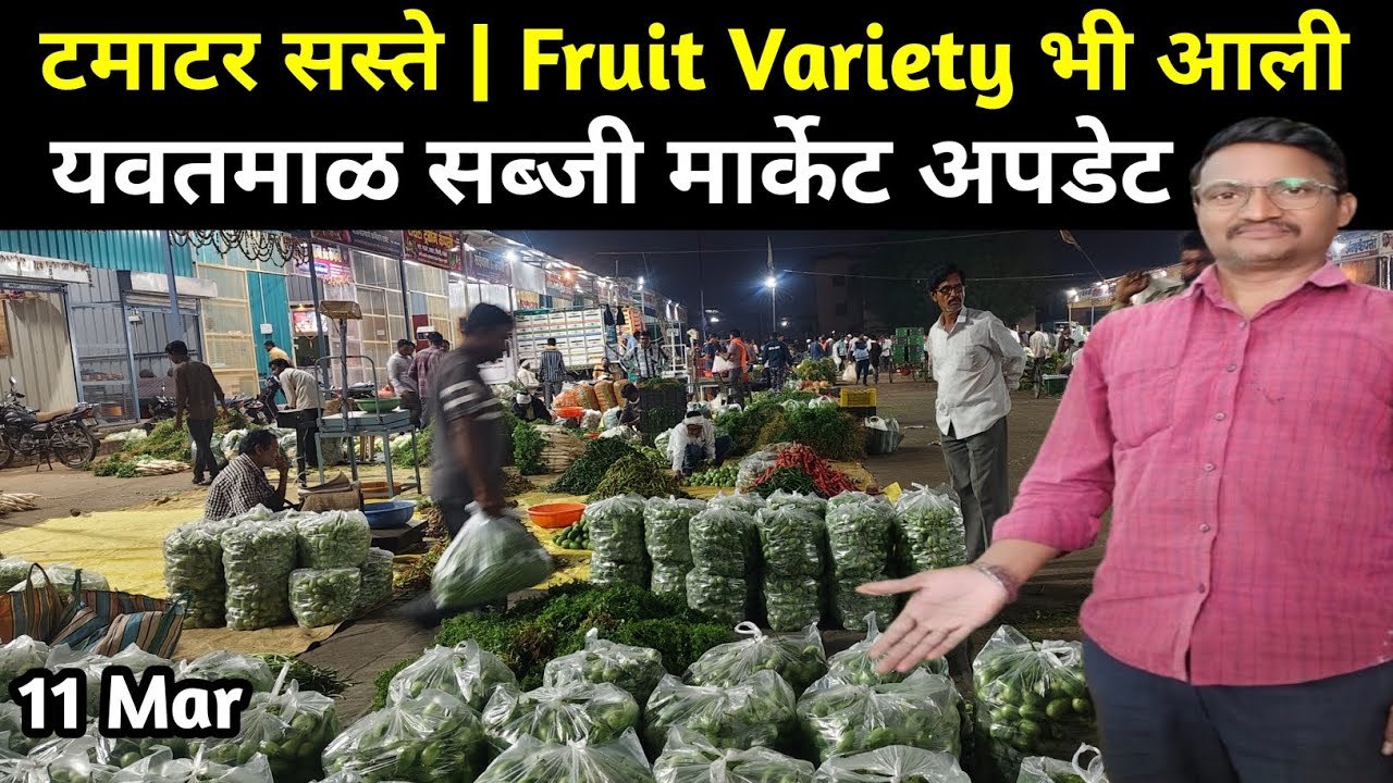 आज यवतमाळ मंडीत मंदी | टमाटरचे भाव अचानक कमी 🍅 आज मार्केटमध्ये डांगर बी आले आहे 😱