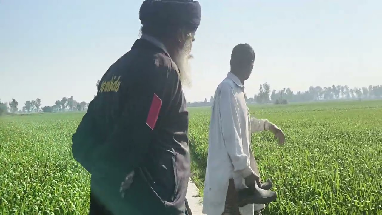 ਪਿੰਡ ਖੇਤ। #village vlogs . Blogging in punjab place.