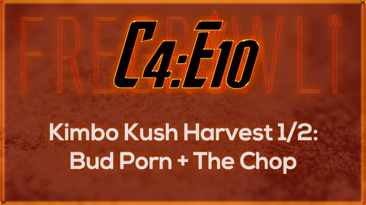 C4:E10 - Kimbo Kush Harvest 1/2: Bud Porn + The Chop
